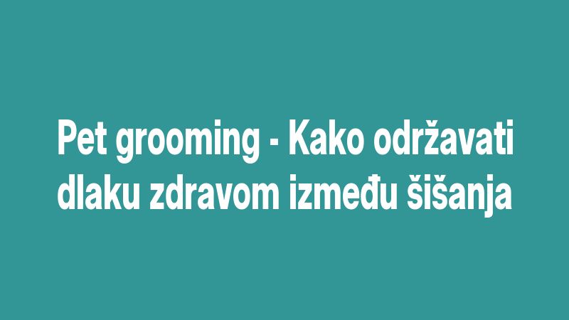 Pet grooming - Kako održavati dlaku zdravom između šišanja